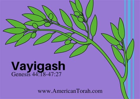 Parsha Vayigash Apostolic Readings Commentary And Videos American