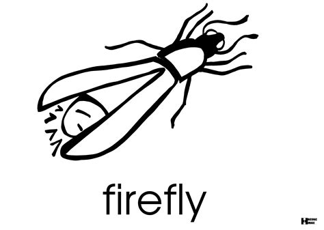 Firefly Drawing Free Download On Clipartmag