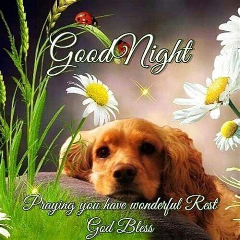 Good Night Prayer For Rest Pictures Photos And Images For Facebook