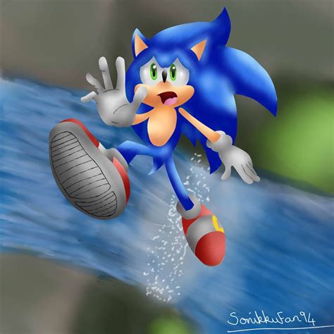 Sonic Falling Waterfall By Sonikkufan94 On Deviantart Sonic Sonic