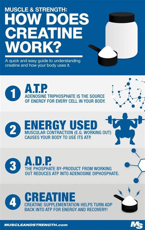 Everything You Want To Know About Creatine Monohydrate What It Is How