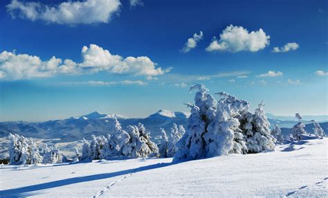 Winter Wonderland Images Of Stunning Snowy Landscapes Live Science