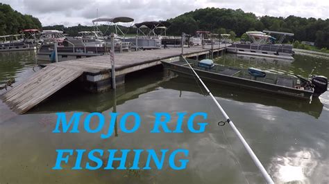 Fishing The Mojo Rig Subscriber Challenge Youtube