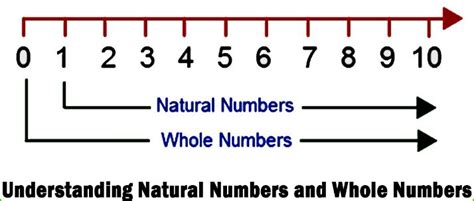 Whole Numbers And Its Properties A Plus Topper