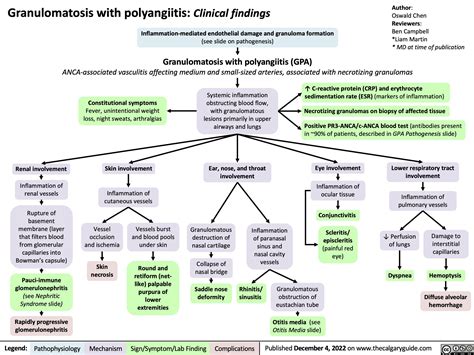 Granulomatosis With Polyangiitis Clinical Findings Calgary Guide