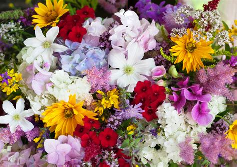 Summer Flowers Jigsaw Puzzle In Flowers Puzzles On
