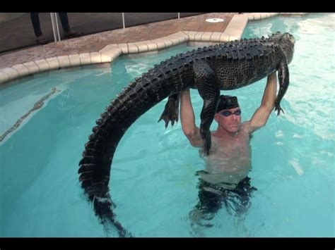 OBD Convo #29: outskirts nakama dome - no snatching edition | Page 69