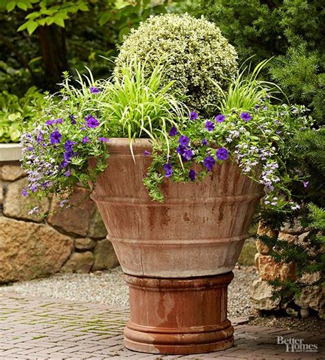 Winter Care For Potted Shrubs Container Garden Design Winter Garden