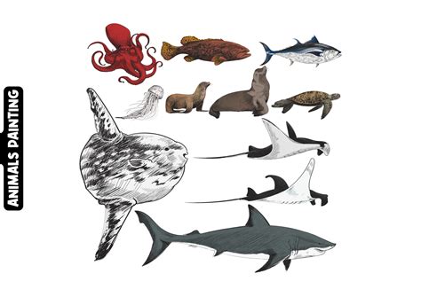 Aquatic Life Art Graphic By Superpendd1 · Creative Fabrica
