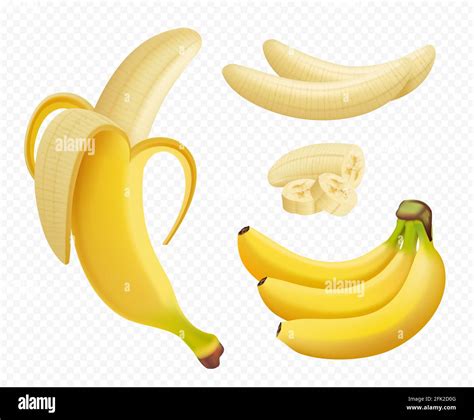 Banana Realistic Healthy Natural Exotic Fruits Foods Plants Vector