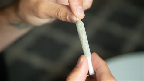 How To Use A Joint Roller For The Perfect Joint Weedmaps