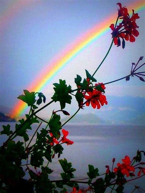 Pin By Am Y On Rainbows Rainbow Photography Rainbow Pictures