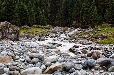 River Stream Brook Free Photo On Pixabay Pixabay