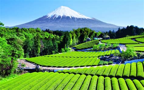 Japandream Beautiful Japanese Landscapes