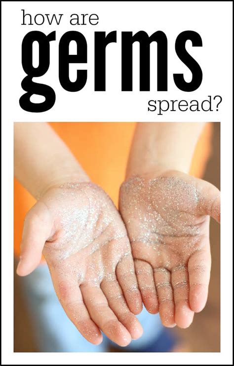 How Are Germs Spread I Can Teach My Child