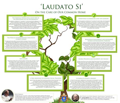 We did not find results for: A Catechetical Board on LAUDATO SI: The Encyclical on the Care for our Common Home by Pope ...
