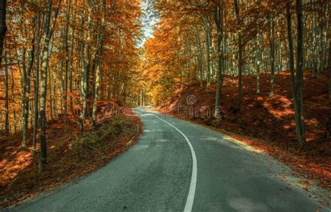 Winding Road Stock Image Image Of Scenery Road Morning 174728263