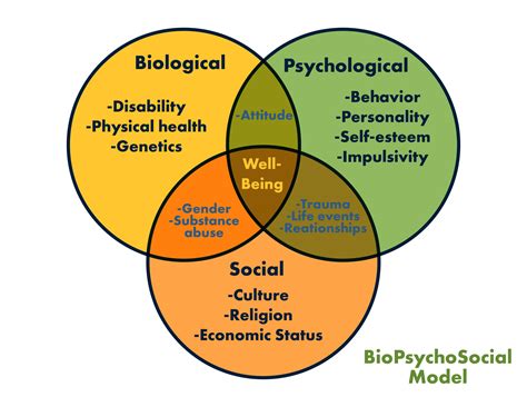 Biopsychosocial Model Of Mental Health