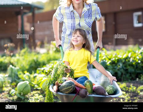 Little Child Girl Inside Wheelbarrow With Vegetables In The Garden