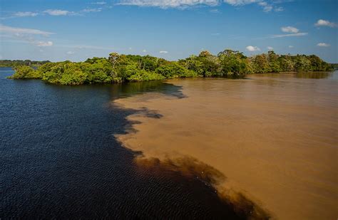 Amazonian River Types Blackwater Whitewater And Clearwater Rainforest