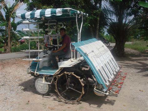 Pagar museh tanaman padi sawah secara moden. Yanna Abu Bakar: Musim Menanam Padi Sawah