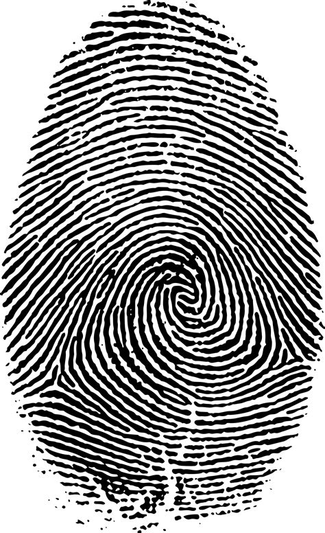 Fingerprint Vector Clipart Image Free Stock Photo Public Domain