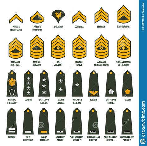 Usa Army Enlisted Ranks Chevrons With Insignia Stock Vector
