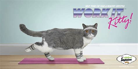 When i worked with the mspca in boston. Outdoor ad: Mars inc: Work it kitty! leg stretch