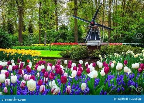 netherlands travel poster keukenhof gardens dutch art tulip fields amsterdam floral decor