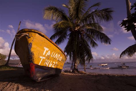 Beach Boat Boats Clouds Coconuts Ocean Palm Trees Sand Sea