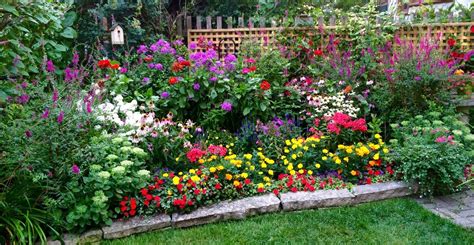 Perennial Flowers For North Carolina Fill Your Flower Beds Pots And