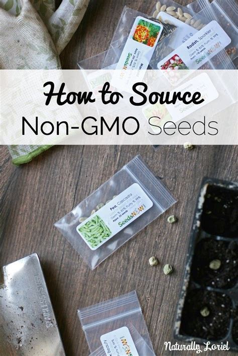 How To Source Non Gmo Seeds Naturally Loriel Organic Gardening Tips