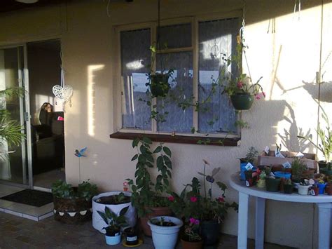 Back Stoep Home And Garden Garden Plants