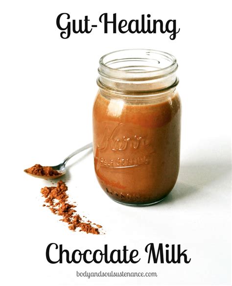 Gut Healing Chocolate Milk Body And Soul Sustenance