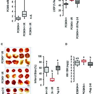 Expression And Effect Of PCSK9 Inhibition On Reperfusion Injury In