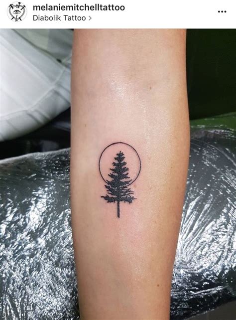 Teeny Tiny Pine Tree Tattoo Pine Tattoo Tattoos Small