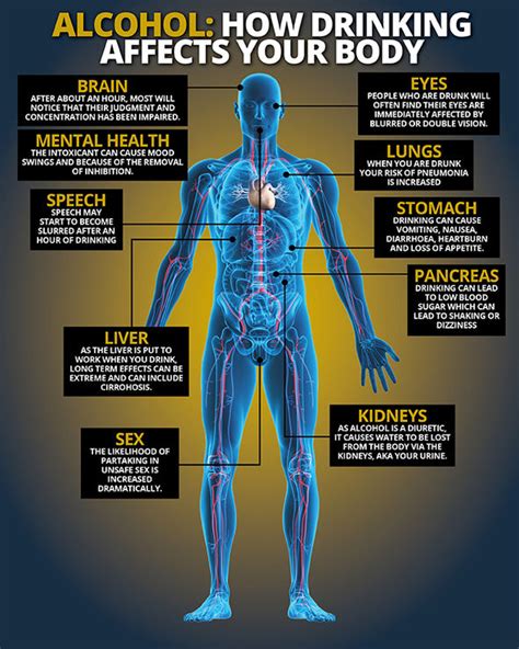 This Is What Happens To Your Body One Hour After Drinking Alcohol