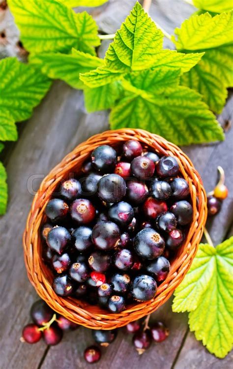Fresh Berries Stock Image Colourbox