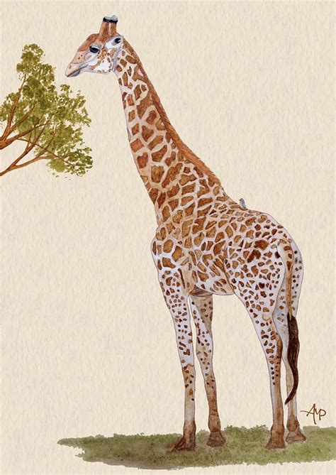 Giraffe Watercolor Painting By Angeles M Pomata Pixels