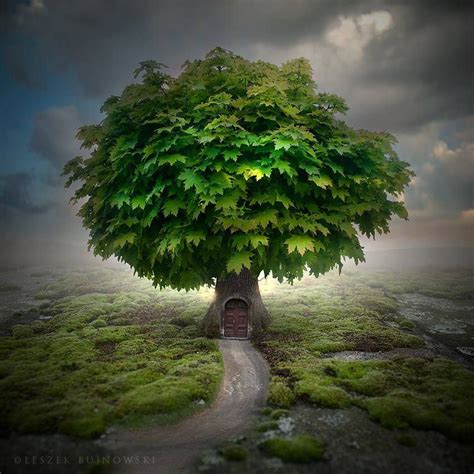 Green House Surreal Photo Manipulation Tree Photography Fantasy