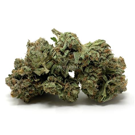 The grass is greener, cairns, queensland, australia. Buy Tom Ford Online In Canada - Pacific Grass - Online Dispensary