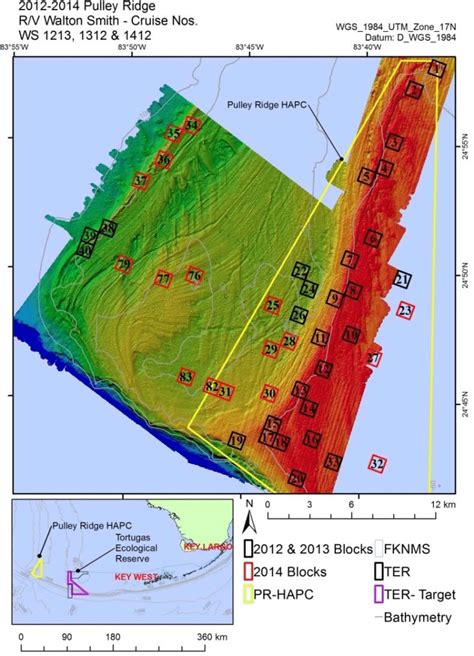 Random 1 Km X 1 Km Blocks Surveyed At Pulley Ridge During The 2012 2014