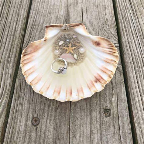 We did not find results for: Clam Shell Trinket Dish, Clam Shell Soap Dish, Coastal ...