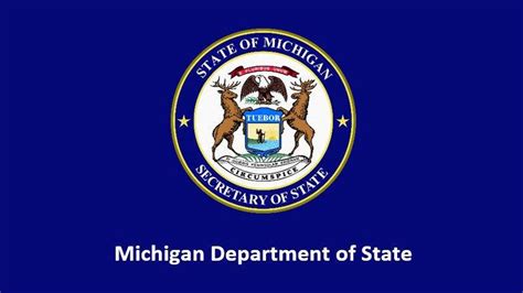 Dsvsesvctap Michigan Department Of State E