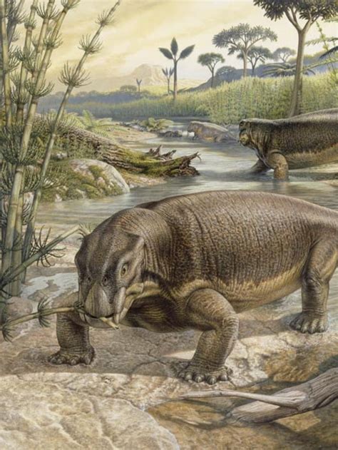 The Permian Period And Extinction Prehistoric Wildlife Prehistoric
