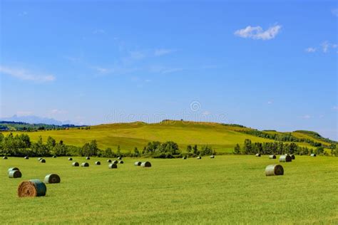 Scenic Farmland Stock Image Image Of Crops Pasture 63662795