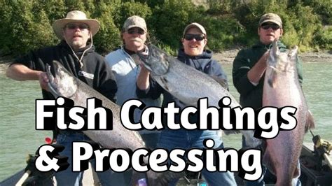 Catching And Processing Fish Fishing And Processing On A Freezing