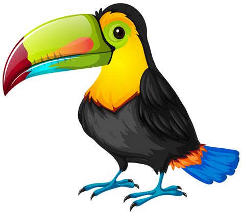 Cartoon icons graphic design vector design illustration social media fictional characters instagram illustrations social networks. Toucan Bird Clipart | Free download on ClipArtMag