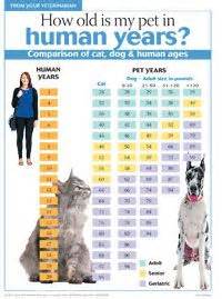 It is designed 100% mobile friendly. #Veterinary client handout: How old is my pet in human ...
