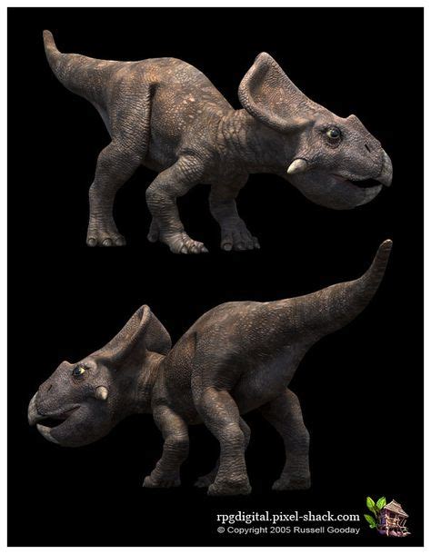Protoceratops With Images